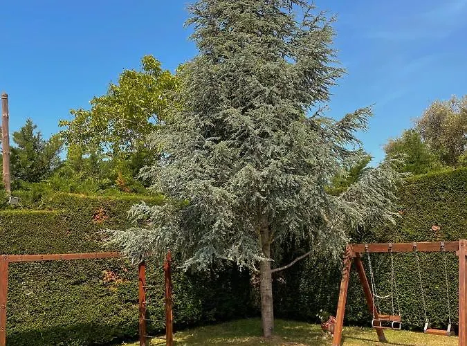 Kourouta Villas 쿠루타